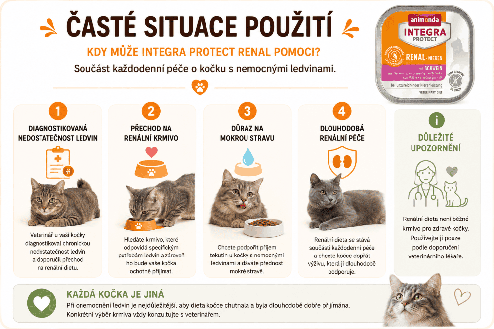 Infografika Péče o ledviny koček Integra Protect Pork